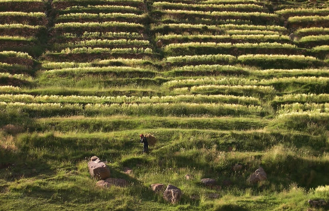 Atlas Mountains Trek: Marrakech to Natural Wonders
