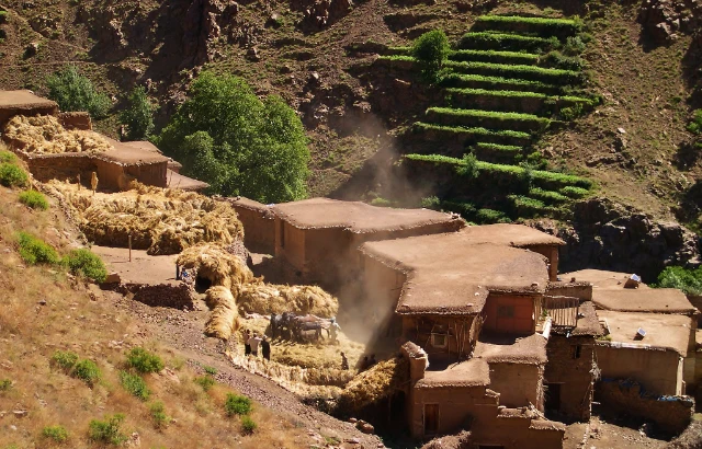 5-Day High Atlas Amazigh Villages Trek