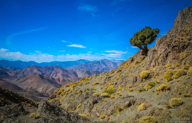 Journey into Amazigh Valleys 3-Day High Atlas Mountains Trek